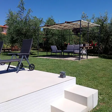 Il Piccolo Oliveto Semesterbostad Arezzo